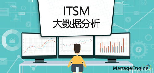 IT服務管理中大數據分析與數字技術的融合應用
